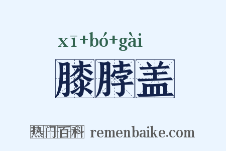 膝脖盖是什么意思的图片